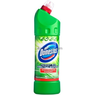 Универсальное средство Domestos Хвойная Свежесть 24 часа 1 л 