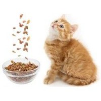 Выбираем корма для кошек правильно. Выбираем корма для кошек правильно.